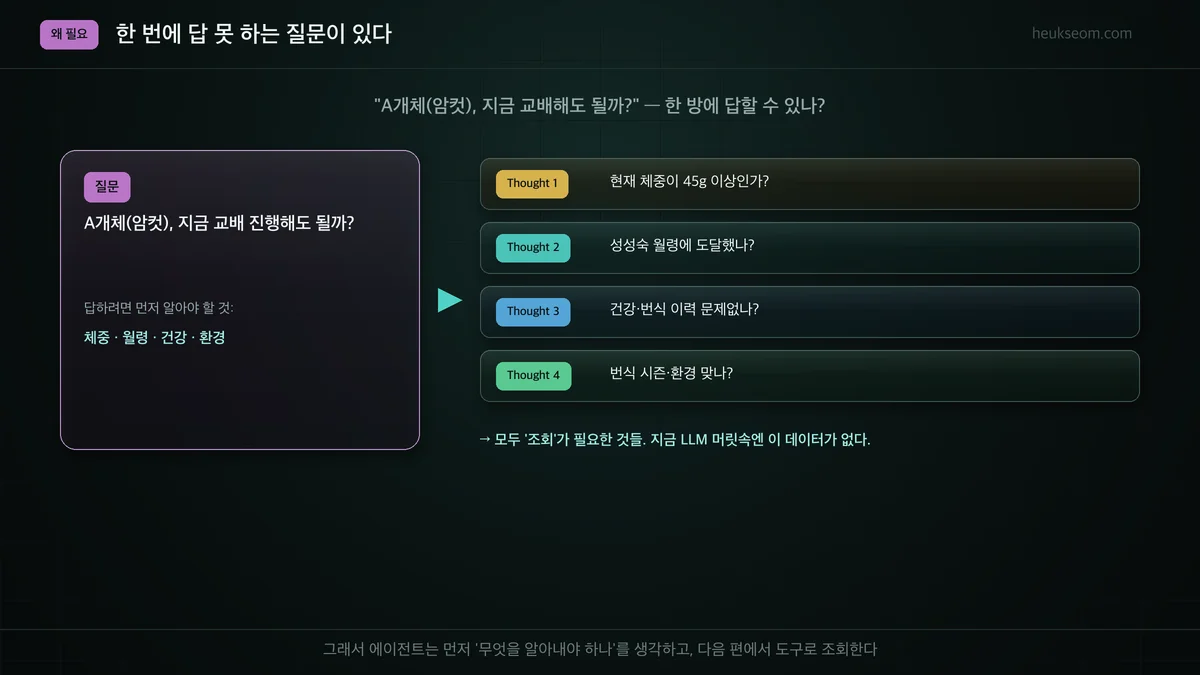 교배 가능 여부 질문을 Thought로 분해 — 모두 조회가 필요한 정보