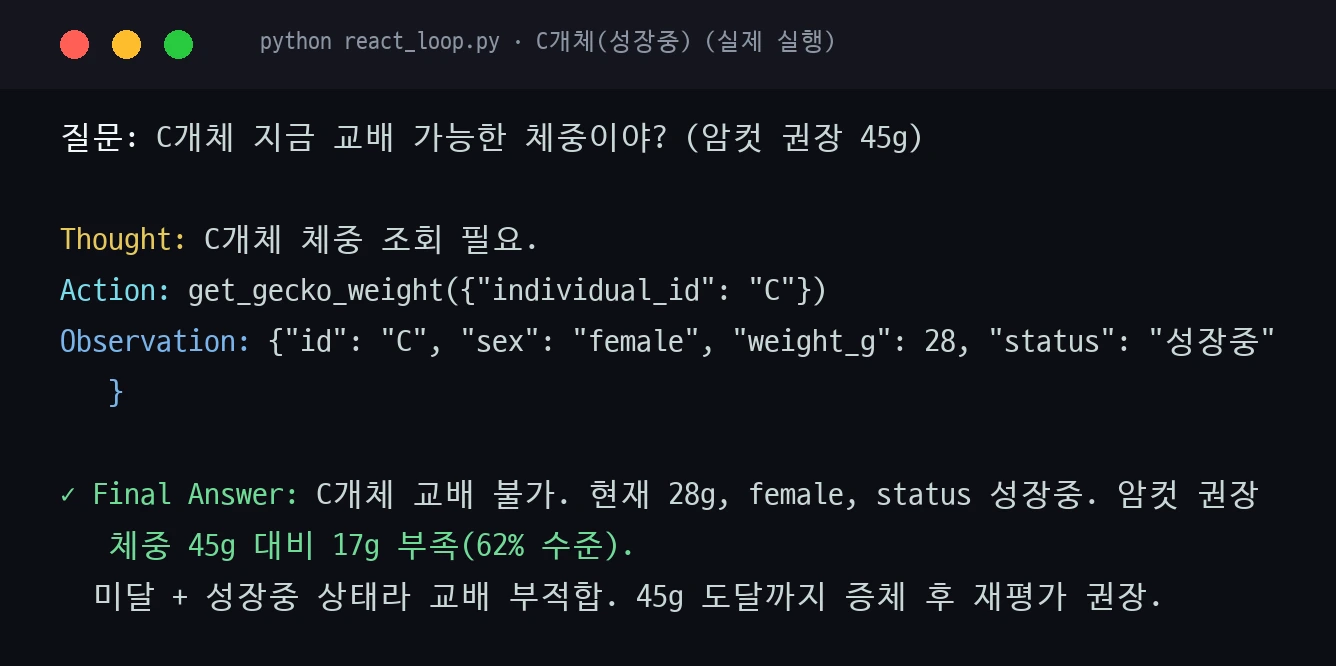 C개체(성장중 28g) 조회 후 판단 캡처