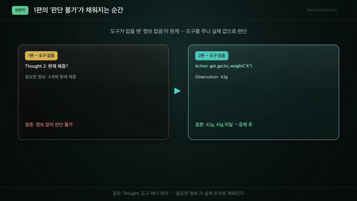 1편 도구 없음(판단 불가) vs 2편 도구 있음(42g로 판단) 비교