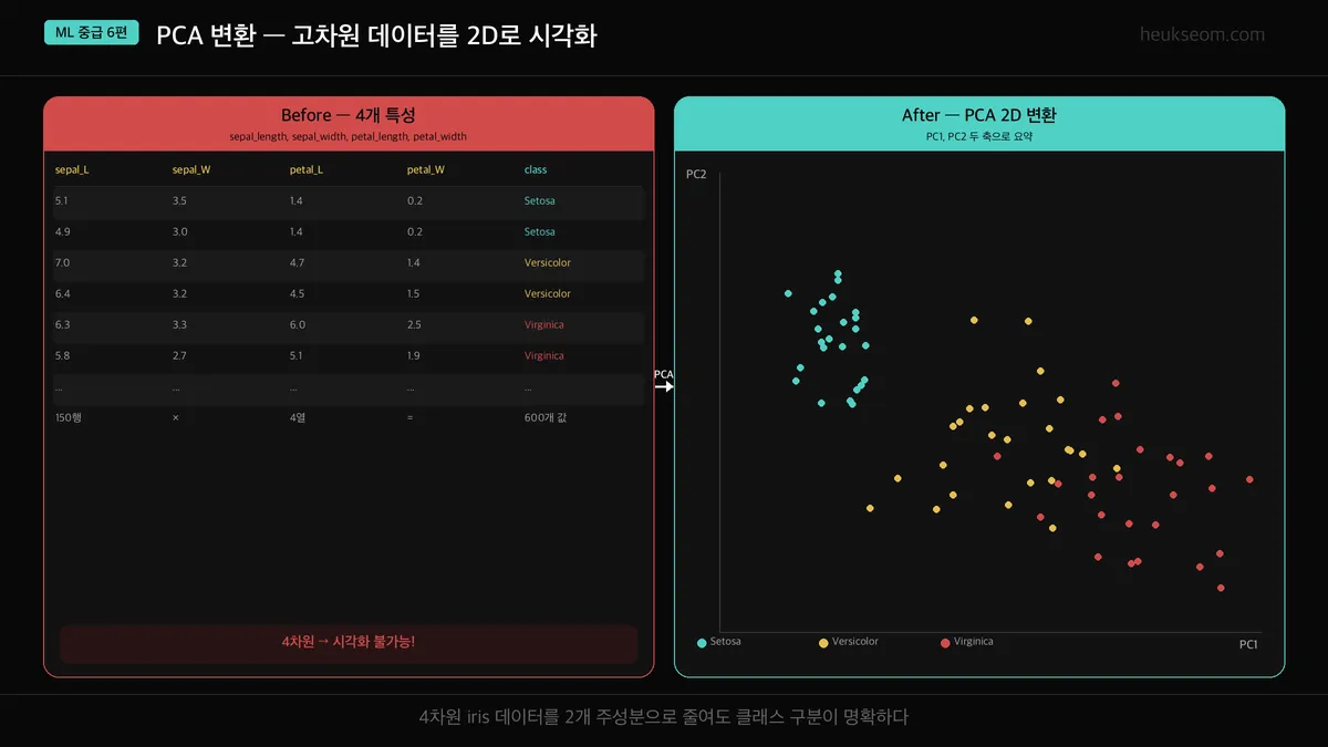 PCA 변환 전후 비교 — 4차원 데이터를 2D 산점도로 시각화